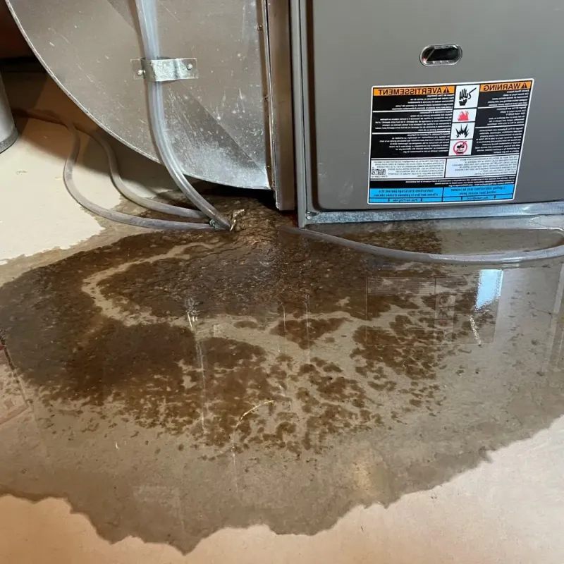 Pipe Burst and Leak Restoration in Tuckahoe, NY